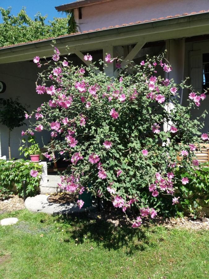 Les Eygletieres Bed & Breakfast Bourriot-Bergonce Dış mekan fotoğraf