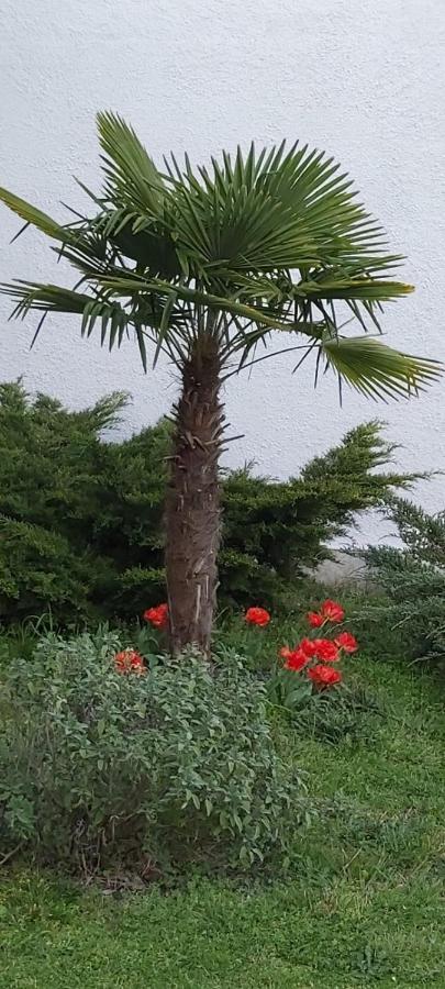 Les Eygletieres Bed & Breakfast Bourriot-Bergonce Dış mekan fotoğraf