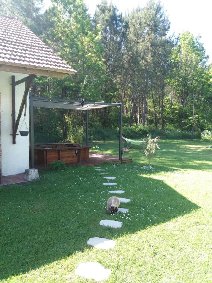 Les Eygletieres Bed & Breakfast Bourriot-Bergonce Dış mekan fotoğraf